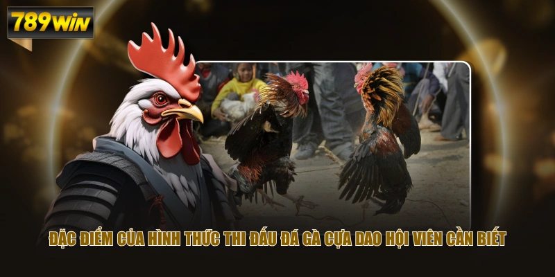 Đặc điểm của hình thức thi đấu đá gà cựa dao hội viên cần biết