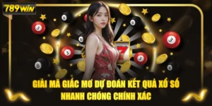 Giải Mã Giấc Mơ Dự Đoán Kết Quả Xổ Số Nhanh Chóng Chính Xác